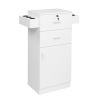 15 cm P2 density board pitted surface 2 drawers 1 door 6 hair dryer double ear cabinet with lock Salon cabinet white